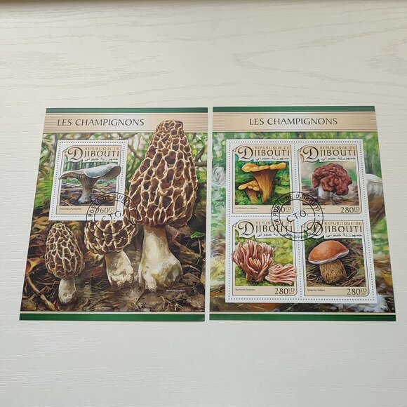 Academia Set 2 Stamp Souvenir Sheets Mushrooms Nature Collectible Djibouti 2017 - Picture 1 of 5